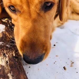 Meet your Posher, Cecelia